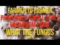 Thumbnail for Interviews & Insights - What The Fungus - PART 2
