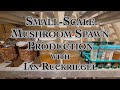 Thumbnail for Small-Scale Mushroom Spawn Production