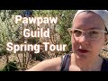 Thumbnail for Pawpaw Guild Spring Tour: Companion Planting Tips