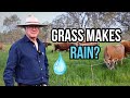 Thumbnail for Why Are These Cows Thriving With No Rain?