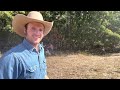Thumbnail for Goats are tough animals in a drought and will clean up your brush.