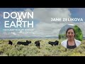 Thumbnail for Episode 159: The Carbon Credit Conundrum