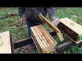 Thumbnail for Permaculture Chemical Free Beekeeping
