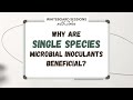 Thumbnail for Why Are Single Species Microbial Inoculants Beneficial?