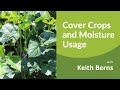 Thumbnail for Cover Crops and Moisture Usage