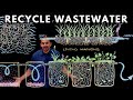 Thumbnail for How to Recycle Waste Water Using Plants