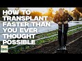Thumbnail for Transplanting Truth: Keep It Simple, Grow Successful (The Urban Farmer Rewind-S1W6)