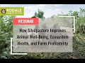 Thumbnail for Webinar: How Silvopasture Improves Animal Well-Being, Ecosystem Health, and...