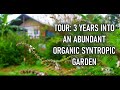 Thumbnail for Survival Living - Tour of Abundant 3-year-old Organic Syntropic Garden