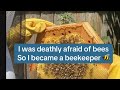 Thumbnail for I used to be terrified of bees. So I became a beekeeper.