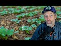 Thumbnail for Tips for Better Germination in the Field + Chickens in the Garden (on purpose)