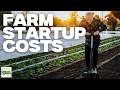 Thumbnail for The Real Cost of Starting an Urban Farm (5 Expenses Nobody Mentions)