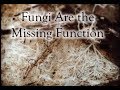 Thumbnail for Fungi Are the Missing Permaculture Function