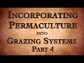 Thumbnail for Incorporating Permaculture into Grazing Systems Part 4