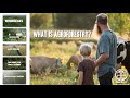 Thumbnail for Farming with Trees: 5 Agroforestry Practices Explained