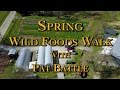 Thumbnail for Spring Wild Foods Walk with Pat Battle