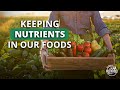 Thumbnail for Optimizing Nutrient Density with Dan Kittredge | Soil Food Web School