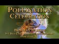 Thumbnail for Pollination Celebration, Bee City USA 10th Anniversary with Brannen Bashem