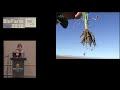 Thumbnail for BioFarm 2019 – Dr Christine Jones (Keynote)