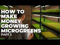 Thumbnail for Food Safety & Legal Microgreens: It's Easier Than You Think | Part 3 of 5