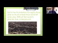 Thumbnail for The Importance of Mycorrhizal Fungi with Dr. Mike Amaranthus
