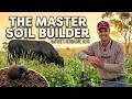 Thumbnail for Regenerative Cattle Management: Doubling Capacity & Reviving the Soil Food...