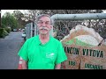 Thumbnail for Biological Controls with Ron Whitehurst of Rincon Vitova | The Advanced...