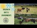 Thumbnail for Regenerative Grazing in Brittle Environments: 3 Springs Farm in Utah