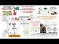 Thumbnail for Laurence Tremblay – How mindset is everything when turning chocolate into a...