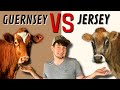 Thumbnail for Best Breed For A Family Milk Cow | Feat. Vaughan Family Farm