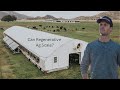 Thumbnail for Can regenerative agriculture scale?