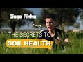 Thumbnail for The science behind Regenerative Agriculture at Monte Silvera Farm [DIOGO PINHO]