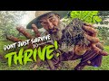 Thumbnail for Medicinal Plant Cultivation | 10 MEDICINE PLANTS FOR YOUR GARDEN: Health...