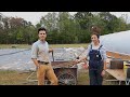 Thumbnail for Ten Mothers Farm - Live Q&A - 11/4/19