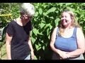 Thumbnail for sunchokes aka jerusalem artichokes - highest calories per acre and easiest to grow