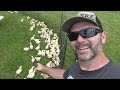 Thumbnail for Top 5 Biggest Mistakes buying land to start a Farm and Homestead....Learn today!