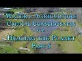 Thumbnail for Water & Agriculture: Critical Consciousness for Healing the Planet Part 5