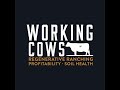 Thumbnail for Malcolm MacLean of Ranch Hacks Discusses His Grazing and Genetics Management...