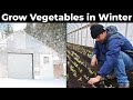 Thumbnail for How to Grow Vegetables in Winter: Guided Tour