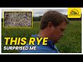 Thumbnail for Why This Widely Grown Cover Crop Is a Total Game Changer for Our Farm