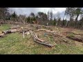 Thumbnail for Cultivating Ramps in the Forest Garden: Edible Landscapes & Community-Scale...