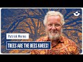 Thumbnail for Agroforestry: the amazing power of trees for agriculture (Patrick Worms)