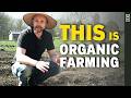 Thumbnail for 30 ESSENTIAL Organic Farming Techniques For Small Farms & Market Gardens