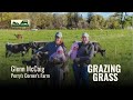 Thumbnail for Gilt-Only Farrowing and Simpler Pig Systems | Glenn McCaig | 208