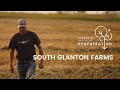 Thumbnail for Mob grazing at South Glanton Farms - Stories of Regeneration