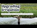 Thumbnail for NEW CHICKS, EXTENDED IRRIGATION and new tents...