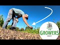 Thumbnail for Trialing Biochar + Building Weather-Resilient Farms