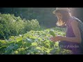 Thumbnail for Syntropic Agriculture: The Future of Farming in line with permaculture and...