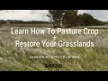 Thumbnail for Pasture Cropping Webinar Session #1 With Colin Seis - Smartsoil Media