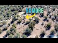 Thumbnail for The Arid Landscape Design Pattern That Achieves More With Less